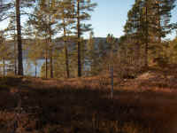 bilde3.jpg (391474 byte)