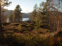 bilde4.jpg (391465 byte)